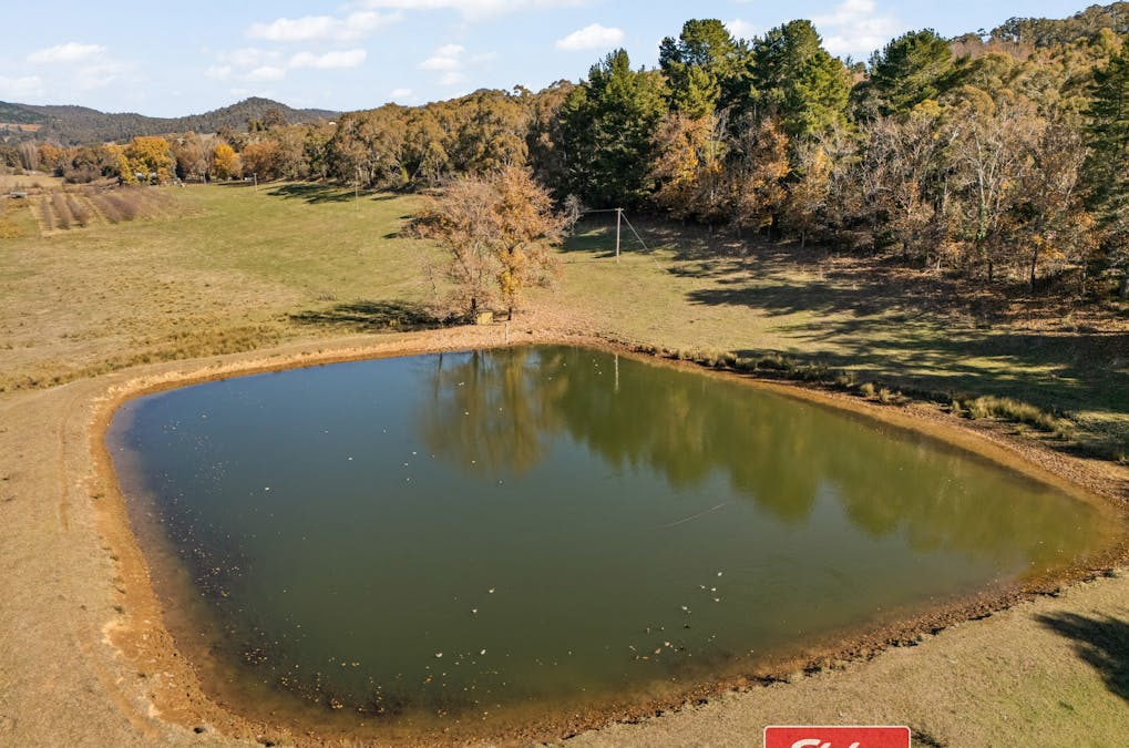 303 Lake Canobolas Road, Canobolas, NSW, 2800 - Image 22