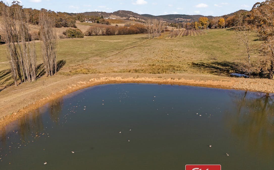 303 Lake Canobolas Road, Canobolas, NSW, 2800 - Image 2