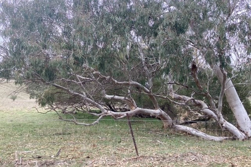 CA 16B & 1 Deep Creek Road, Campbelltown, VIC, 3364 - Image 8