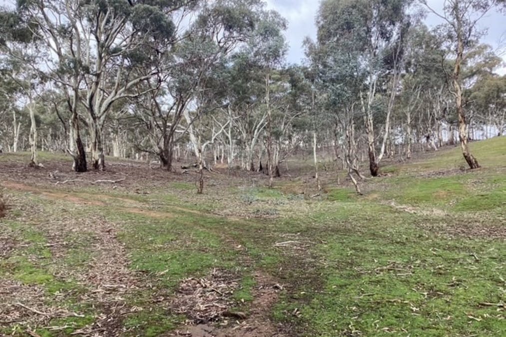 CA 16B & 1 Deep Creek Road, Campbelltown, VIC, 3364 - Image 9