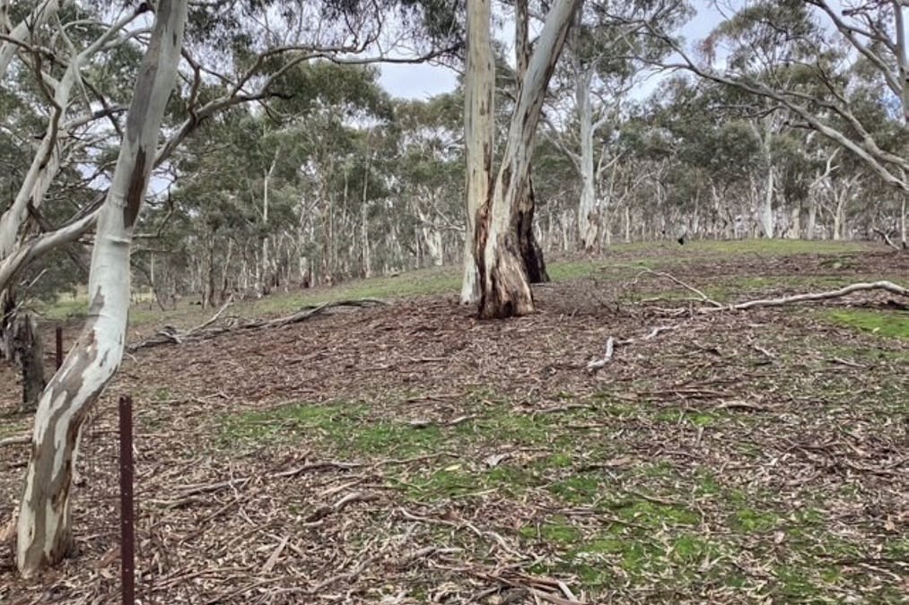 CA 16B & 1 Deep Creek Road, Campbelltown, VIC, 3364 - Image 11