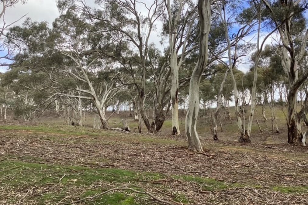 CA 16B & 1 Deep Creek Road, Campbelltown, VIC, 3364 - Image 14