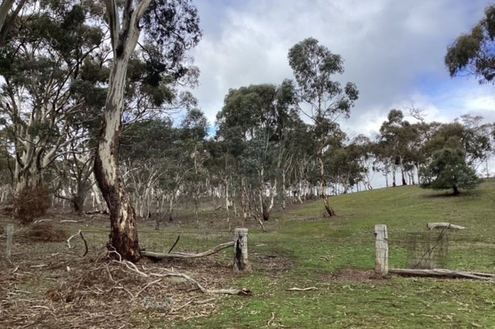 CA 16B & 1 Deep Creek Road, Campbelltown, VIC, 3364 - Image 15