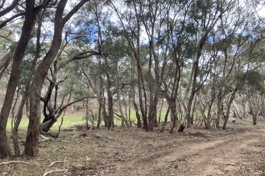CA 16B & 1 Deep Creek Road, Campbelltown, VIC, 3364 - Image 17