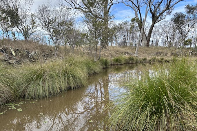 2939 Mosquito Creek Road, Mosquito Creek, QLD, 4387 - Image 1