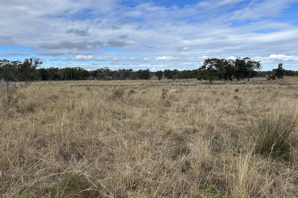 2939 Mosquito Creek Road, Mosquito Creek, QLD, 4387 - Image 4