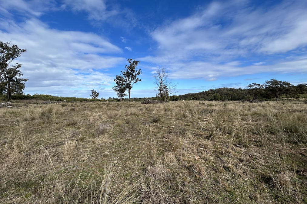 2939 Mosquito Creek Road, Mosquito Creek, QLD, 4387 - Image 5