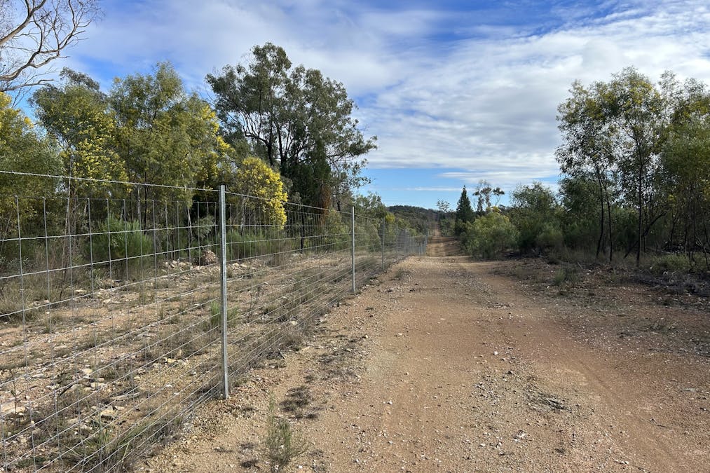 2939 Mosquito Creek Road, Mosquito Creek, QLD, 4387 - Image 7