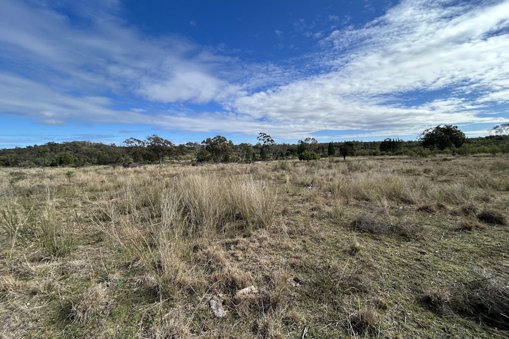 2939 Mosquito Creek Road, Mosquito Creek, QLD, 4387 - Image 6