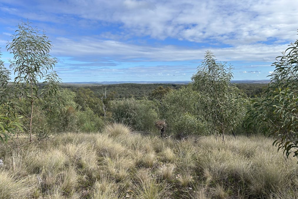 2939 Mosquito Creek Road, Mosquito Creek, QLD, 4387 - Image 15