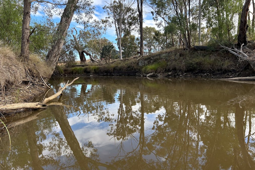 2939 Mosquito Creek Road, Mosquito Creek, QLD, 4387 - Image 19