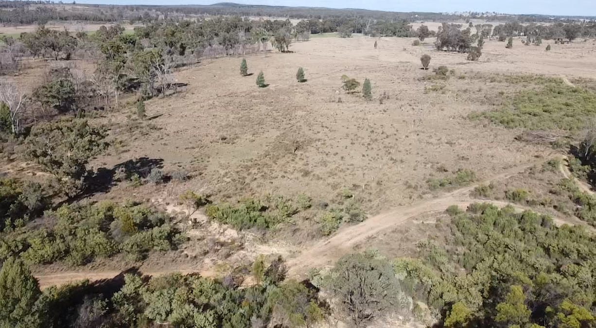 2939 Mosquito Creek Road, Mosquito Creek, QLD, 4387 - Image 20