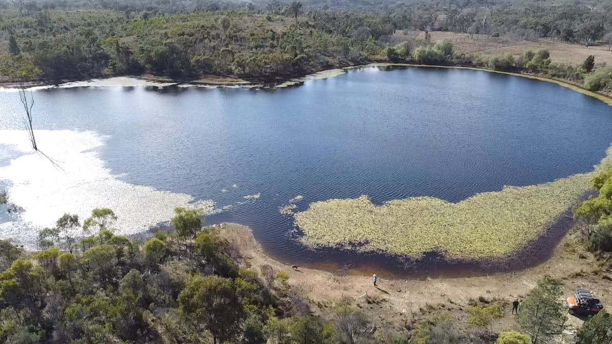 2939 Mosquito Creek Road, Mosquito Creek, QLD, 4387 - Image 3