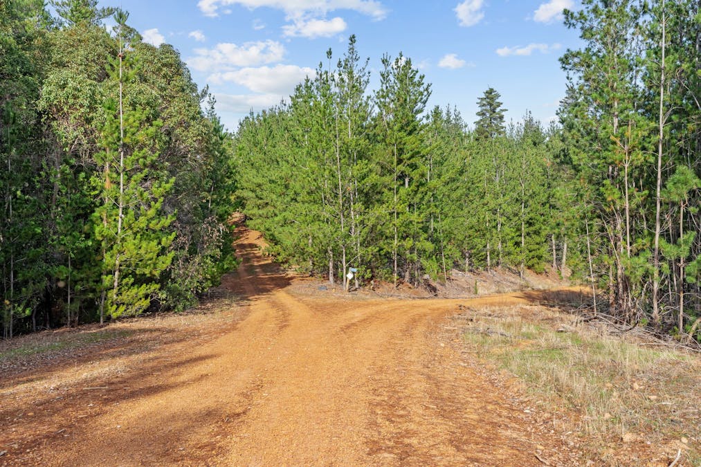 Lots 61 &  Coalfields Road, Roelands, WA, 6226 - Image 2