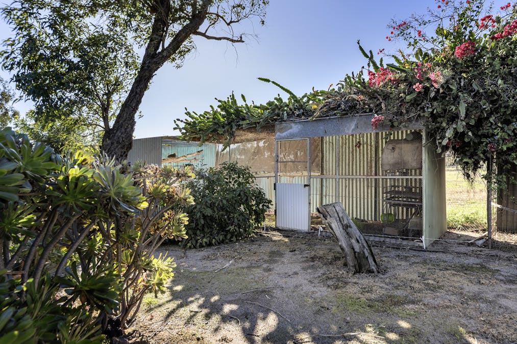 291 Chapman Valley Road, Waggrakine, WA, 6530 - Image 19
