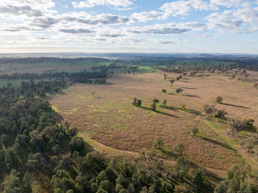 Main Camp 127L Obley Road, Dubbo, NSW, 2830 - Image 6