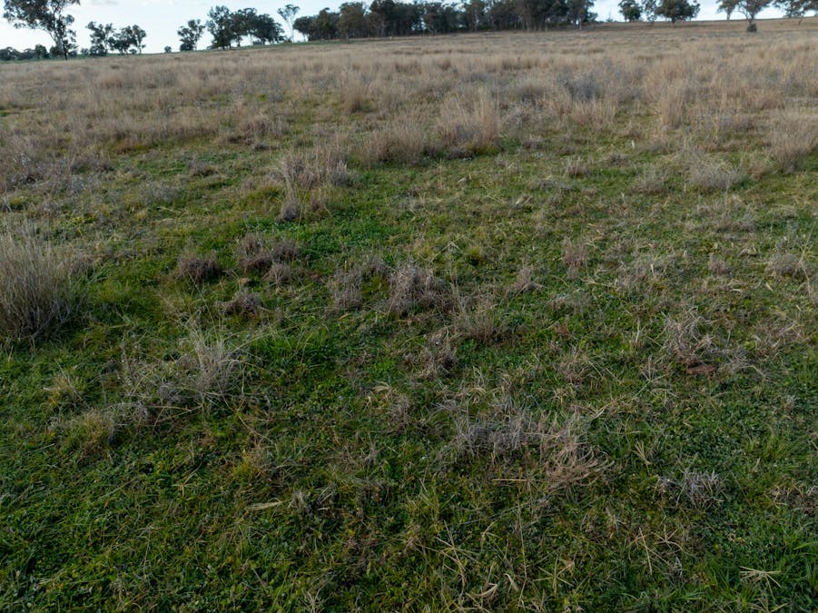 Main Camp 127L Obley Road, Dubbo, NSW, 2830 - Image 16