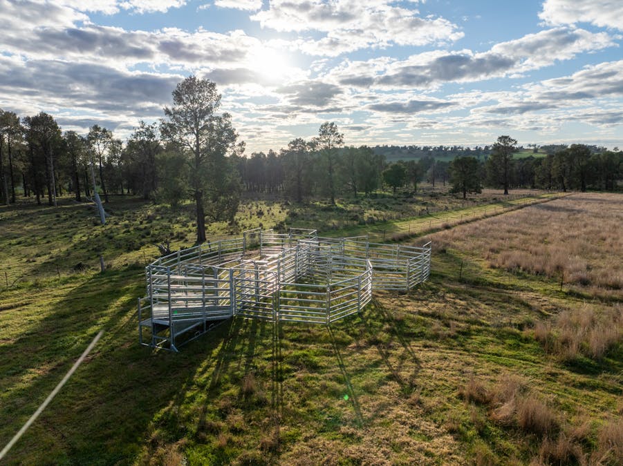 Main Camp 127L Obley Road, Dubbo, NSW, 2830 - Image 10