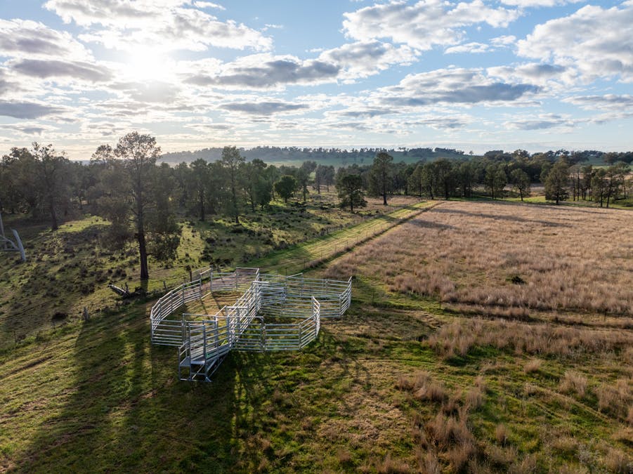 Main Camp 127L Obley Road, Dubbo, NSW, 2830 - Image 11