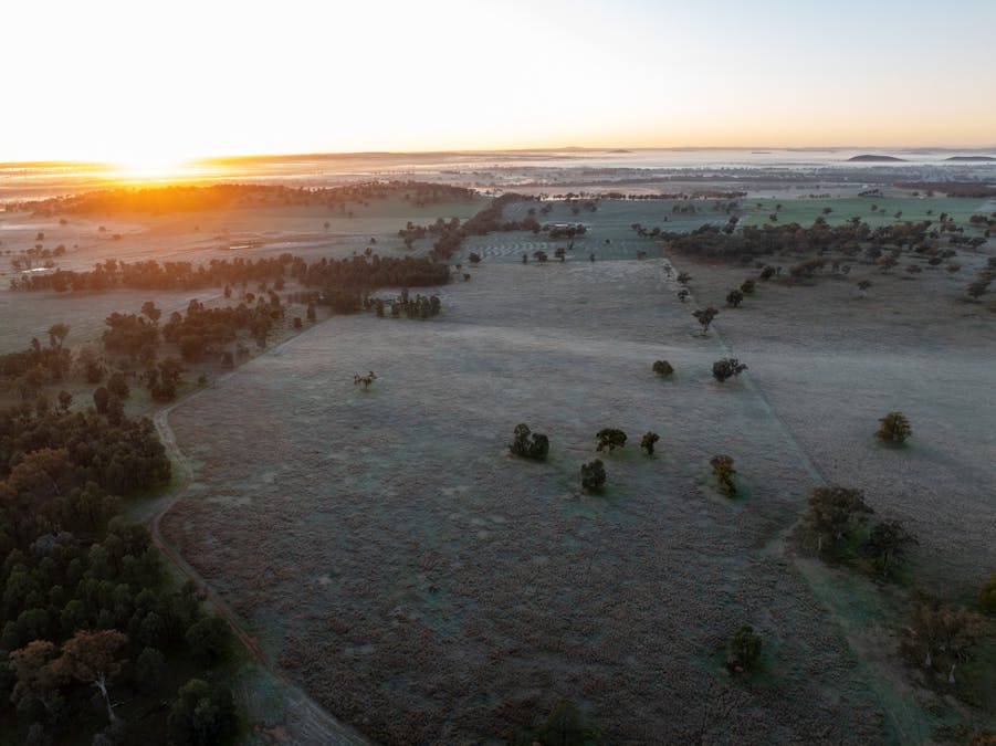 Main Camp 127L Obley Road, Dubbo, NSW, 2830 - Image 13