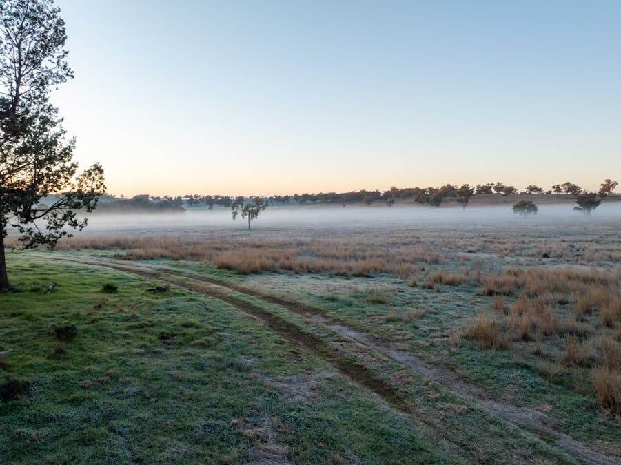 Main Camp 127L Obley Road, Dubbo, NSW, 2830 - Image 14