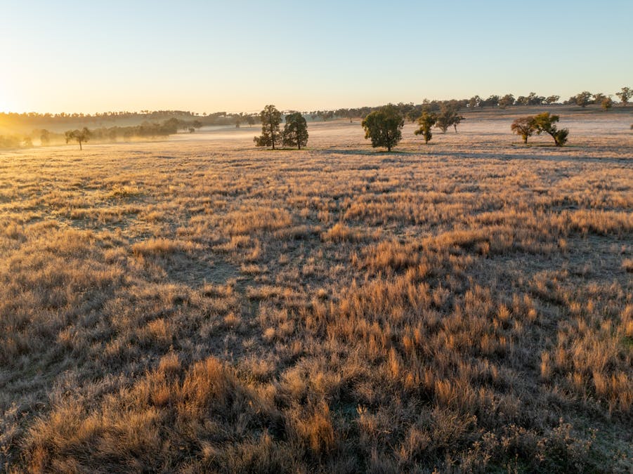Main Camp 127L Obley Road, Dubbo, NSW, 2830 - Image 15