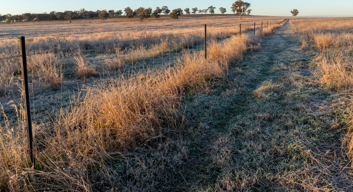 Main Camp 127L Obley Road, Dubbo, NSW, 2830 - Image 18