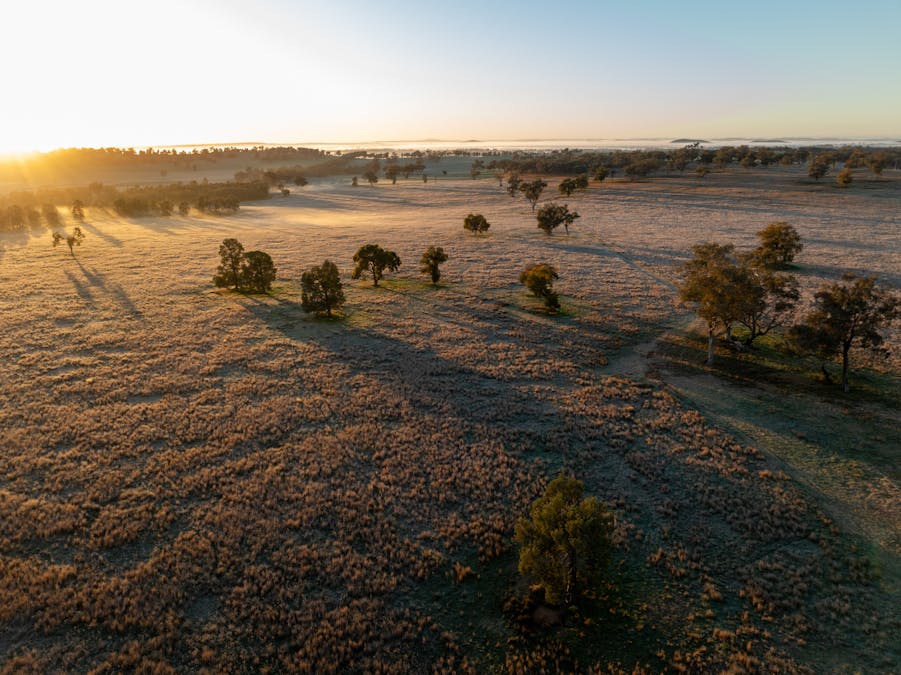 Main Camp 127L Obley Road, Dubbo, NSW, 2830 - Image 7