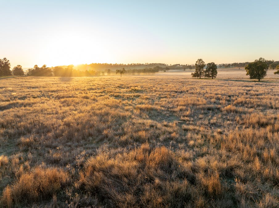 Main Camp 127L Obley Road, Dubbo, NSW, 2830 - Image 8