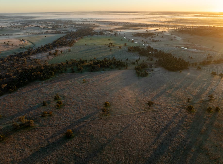 Main Camp 127L Obley Road, Dubbo, NSW, 2830 - Image 21