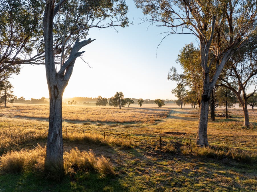 Main Camp 127L Obley Road, Dubbo, NSW, 2830 - Image 5