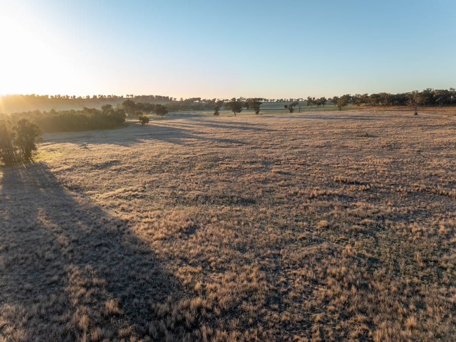 Main Camp 127L Obley Road, Dubbo, NSW, 2830 - Image 12
