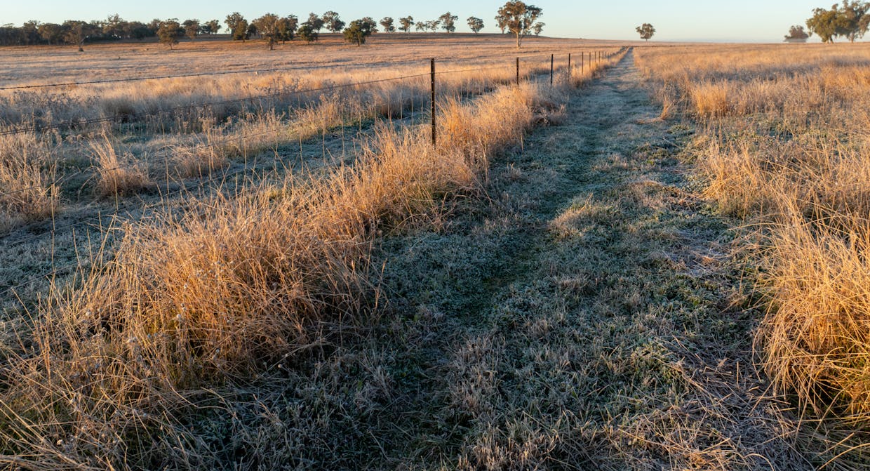 Main Camp 127L Obley Road, Dubbo, NSW, 2830 - Image 9