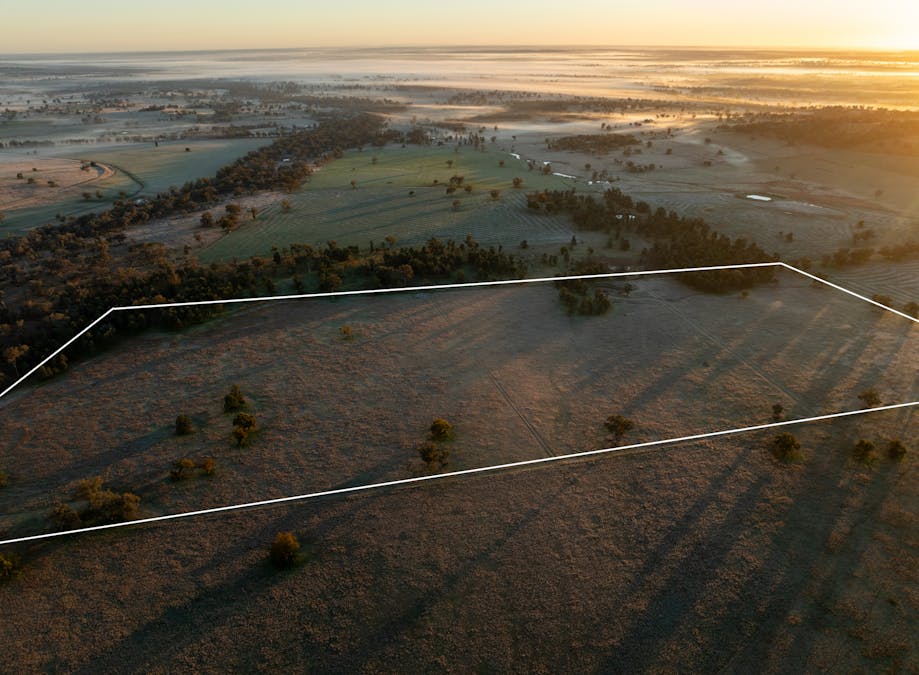 Main Camp 127L Obley Road, Dubbo, NSW, 2830 - Image 22