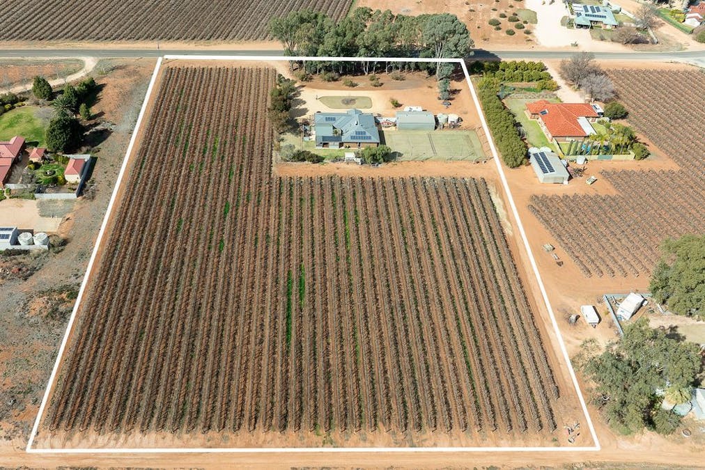 218 McKenzie Road, Barmera, SA, 5345 - Image 18