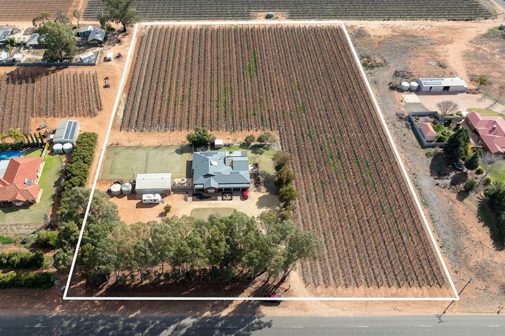 218 McKenzie Road, Barmera, SA, 5345 - Image 19