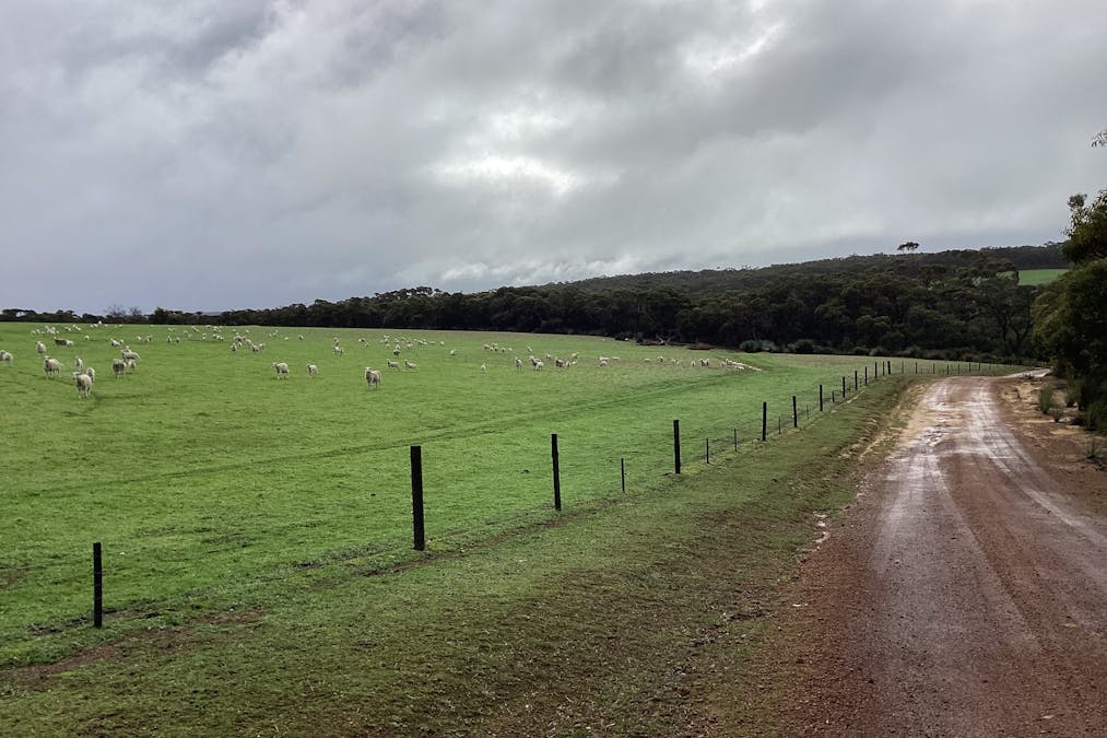 532 Snug Cove Road, Western River, SA, 5223 - Image 7