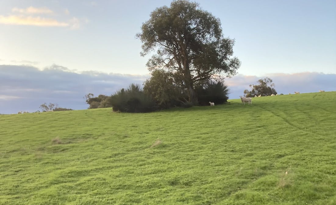 532 Snug Cove Road, Western River, SA, 5223 - Image 21