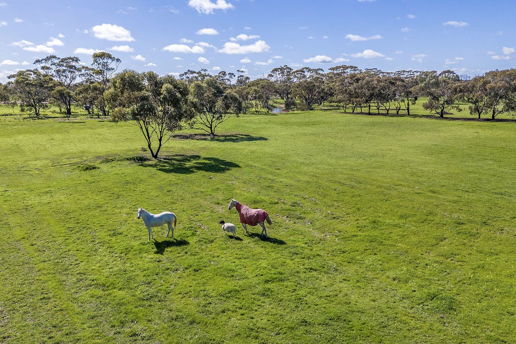 267 Long Street, Moora, WA, 6510 - Image 16