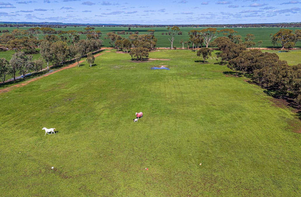 267 Long Street, Moora, WA, 6510 - Image 20