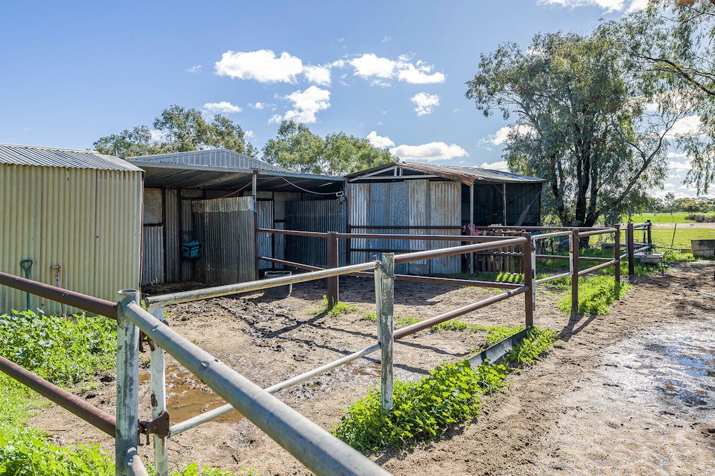 267 Long Street, Moora, WA, 6510 - Image 7