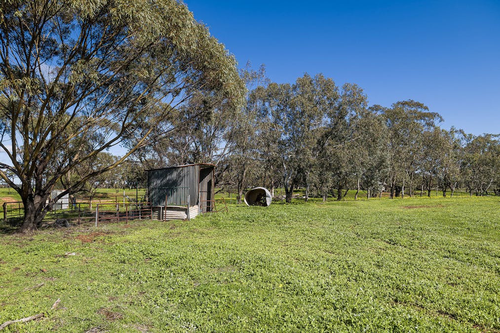 267 Long Street, Moora, WA, 6510 - Image 19