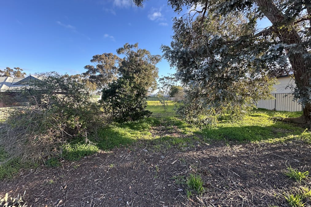 10 Andover Street, Katanning, WA, 6317 - Image 4