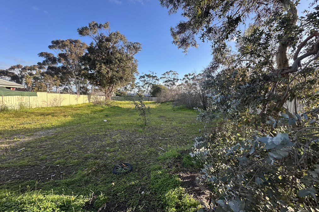 10 Andover Street, Katanning, WA, 6317 - Image 3