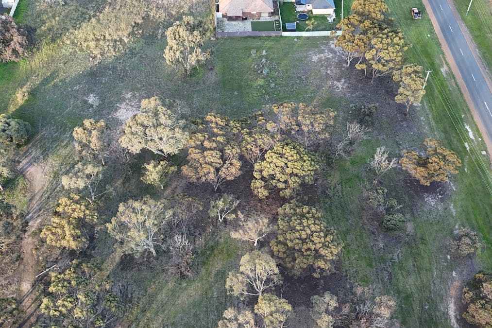 307/Katanning-Nyabing Road, Katanning, WA, 6317 - Image 8