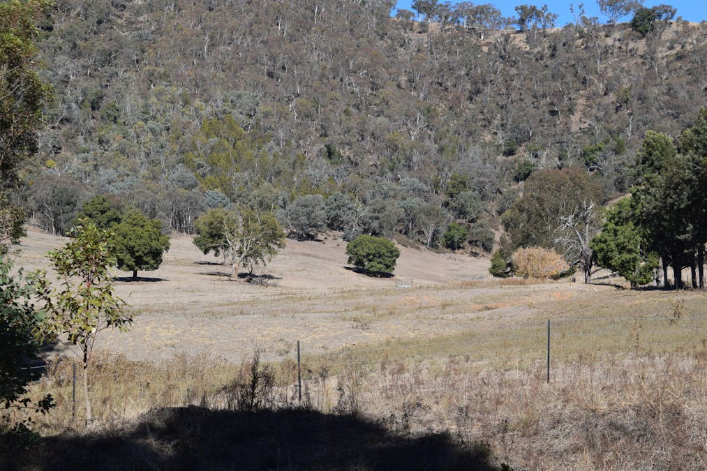 8243 Murray River Road, Walwa, VIC, 3709 - Image 22