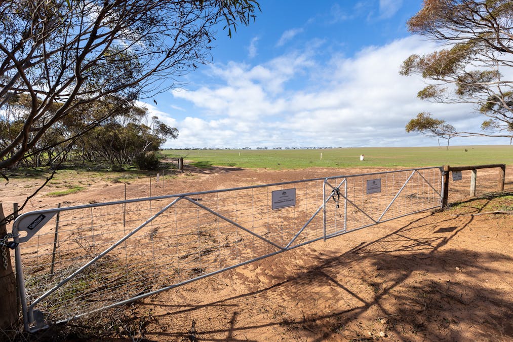 2 Larwood Road, Pinkawillinie, SA, 5641 - Image 5