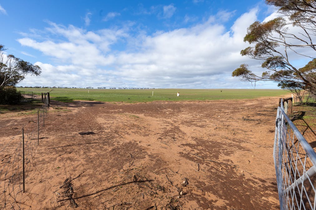 2 Larwood Road, Pinkawillinie, SA, 5641 - Image 7