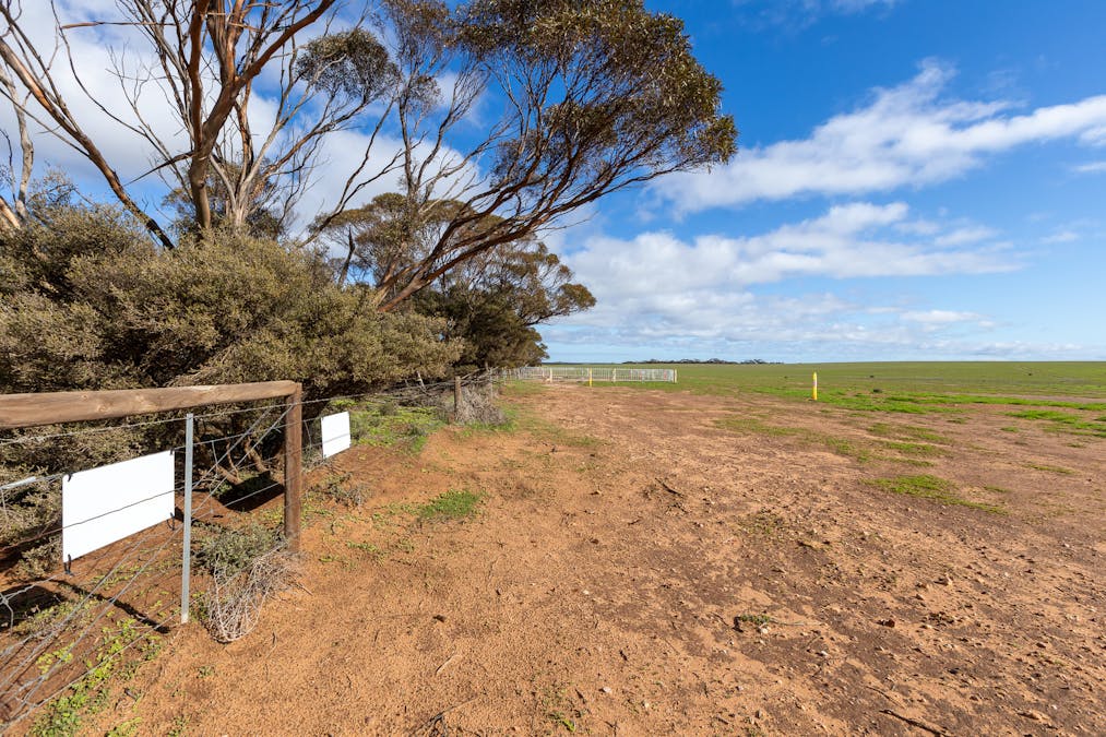 2 Larwood Road, Pinkawillinie, SA, 5641 - Image 6