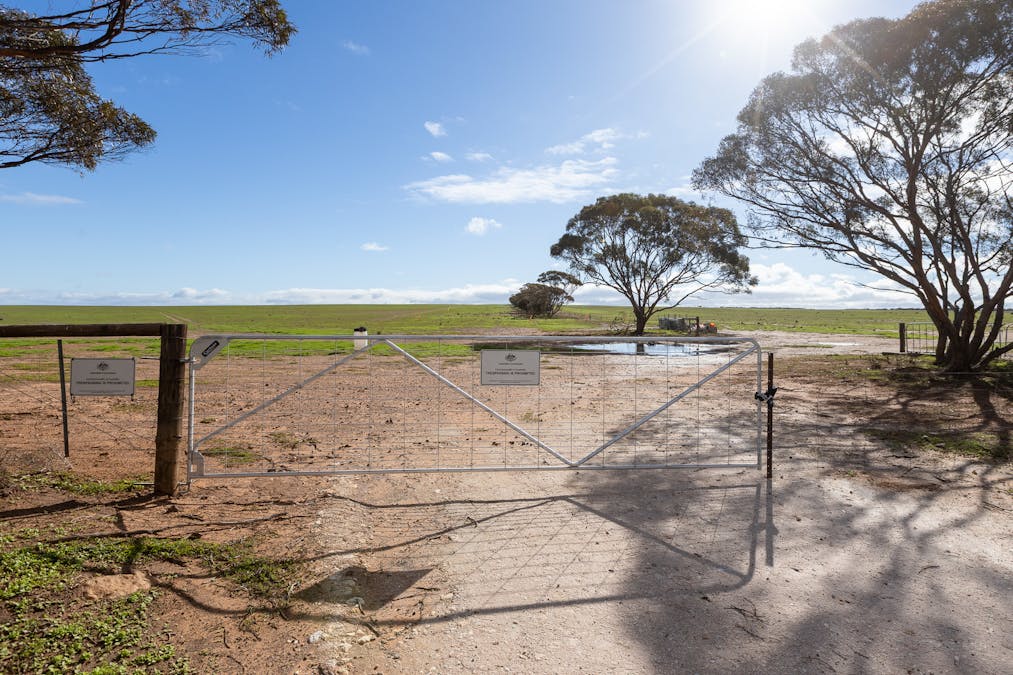 2 Larwood Road, Pinkawillinie, SA, 5641 - Image 3